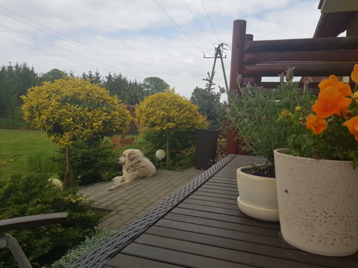 Pokoje Goscinne A.A.Malinowscy Stegna  Exteriér fotografie